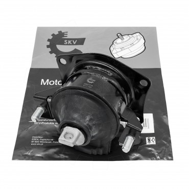 Support Moteur Arrière Pour Honda Accord VII 50810SDAA02 50810SDAE01 AV76701HG
