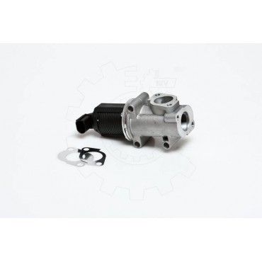 Vanne EGR Pour Fiat Brava Alfa Romeo Lancia 71793584 50109013 71793798 71789048