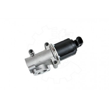 Vanne EGR Pour Fiat Brava Alfa Romeo Lancia 71793584 50109013 71793798 71789048