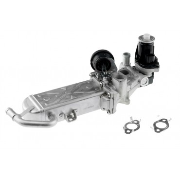 Vanne EGR Pour VW Beetle Caddy III EOS Golf Plus V Audi Seat Skoda 03L131527AX