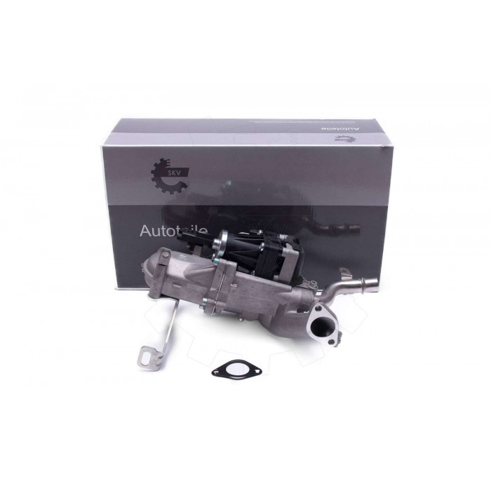 Vanne EGR Pour Peugeot Ford Citroën DS 1606305880 1685740 1618LC 1696587 1618LN