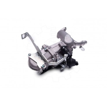 Vanne EGR Pour Peugeot Ford Citroën DS 1606305880 1685740 1618LC 1696587 1618LN