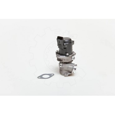 Vanne EGR Pour Peugeot Ford Toyota Citroën 161846 1333611 1618PF 1618N8 1363591