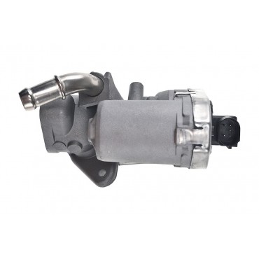 Vanne EGR Pour Peugeot Boxer Fiat Ford Citroën 1480549 1788657 8C1Q9D475AA