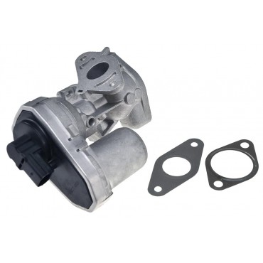 Vanne EGR Pour Peugeot Fiat Ford Citroën 71789685 1787017 71789686 6C1Q9D475AF