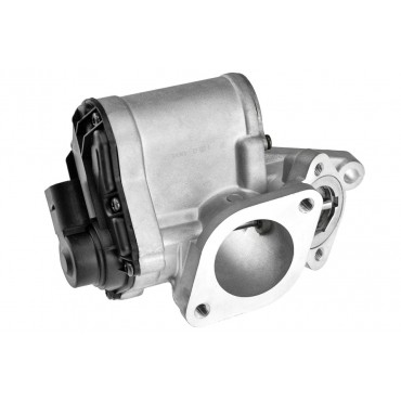 Vanne EGR Pour Renault Grand Scénic II Laguna Megane Suzuki Grand Vitara II