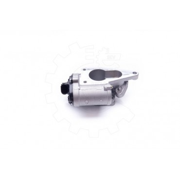 Vanne EGR Pour Renault Laguna II Megane Scénic Suzuki Grand Vitara II