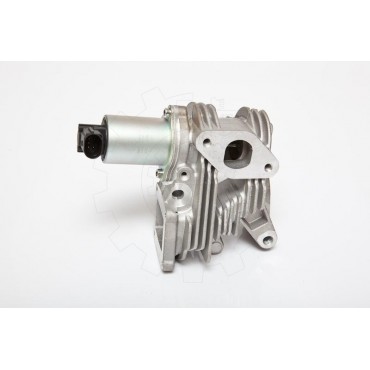 Vanne EGR Pour Renault Megane II Scénic 7701058850 7701065038 7701067308