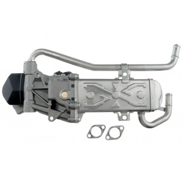 Vanne EGR Pour VW Polo Seat Ibiza IV Skoda Fabia II Roomster 1.2 TDI