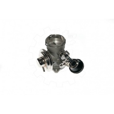 Vanne EGR Pour VW New Beetle 038131501N