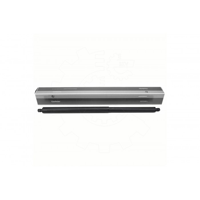 Vérin Hayon de Coffre Arrière Gauche Pour Tesla Model S 6006611 600661100B