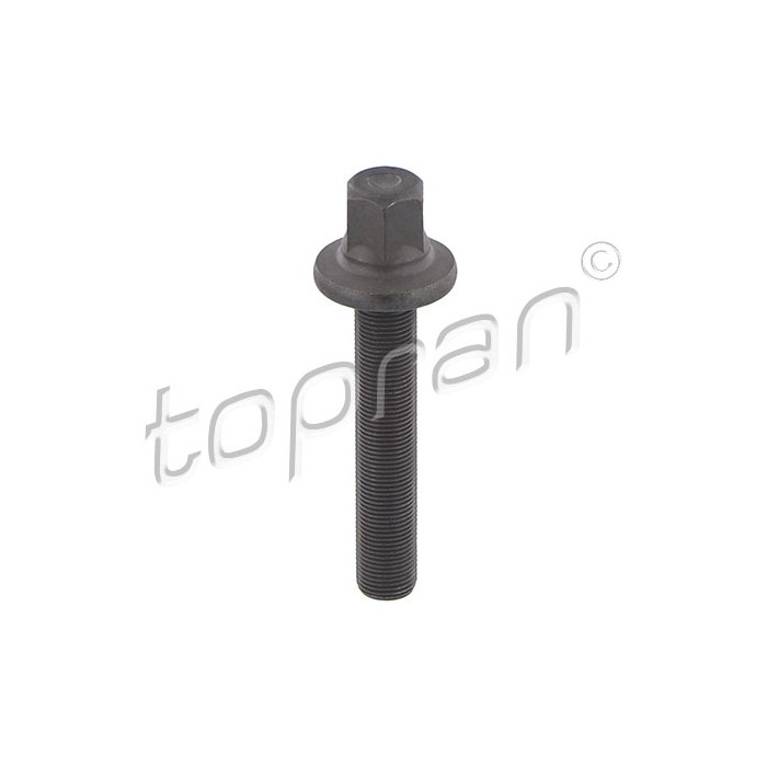 Vis de Poulie de Vilebrequin Pour BMW Série 3 E36 E46 5 E39 11212245387