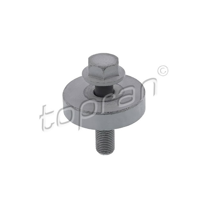 Vis de Poulie de Vilebrequin Pour Renault Clio II III Espace IV 8200098903