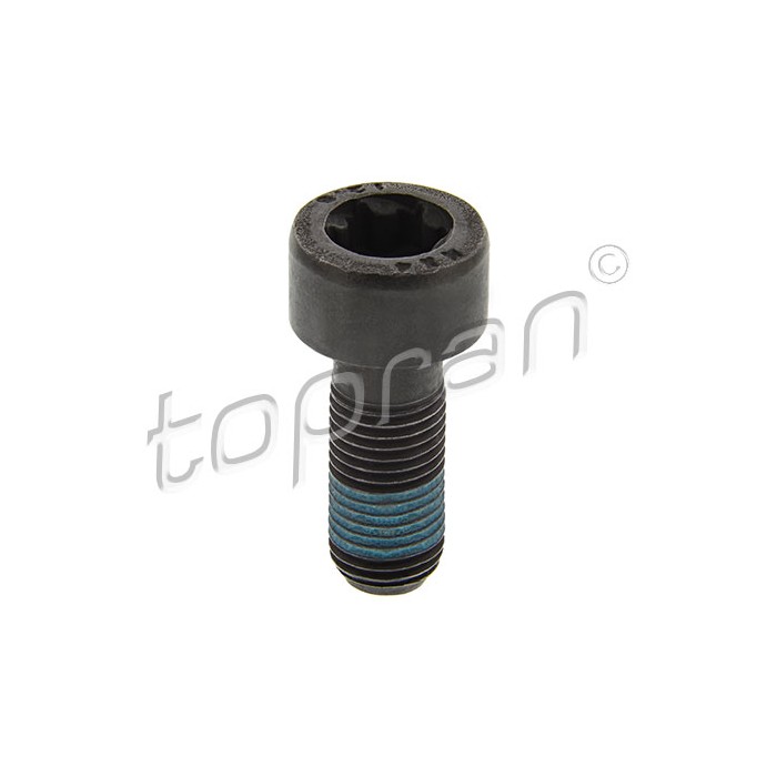 Vis Volant Moteur Pour Renault Dacia Nissan 123153838R 1231500QAK 123159641R