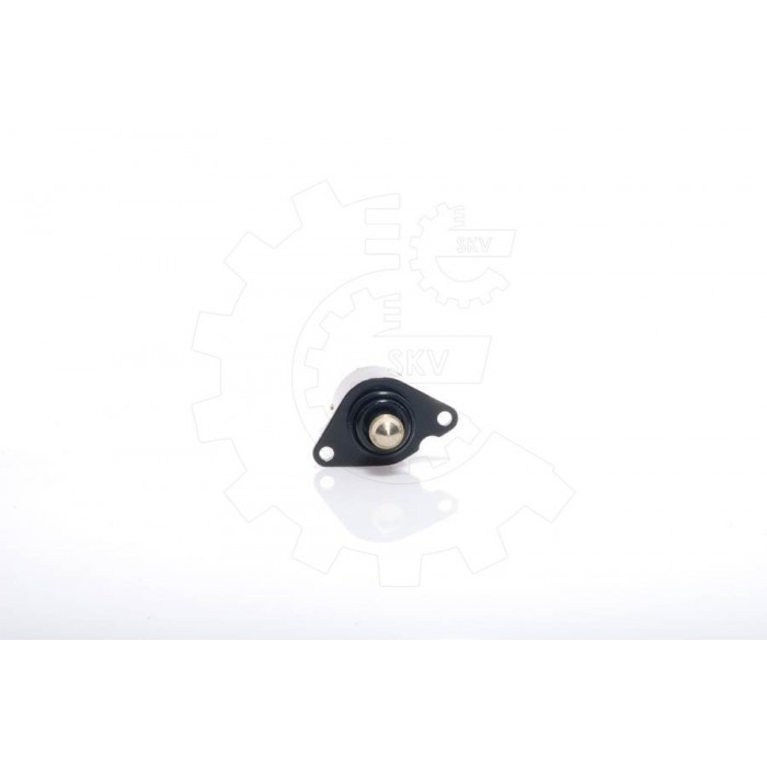 Régulateur de Ralenti Pour Peugeot 106 206 306 Partner Citroën Berlingo Saxo