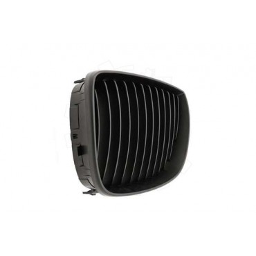 2 Grilles de Radiateur Pour BMW Série 1 E81 E82 E88 51710441920 51710441921