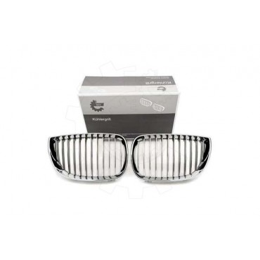 2 Grilles de Radiateur Pour BMW Série 1 E81 E82 E88 51710441920 51710441921