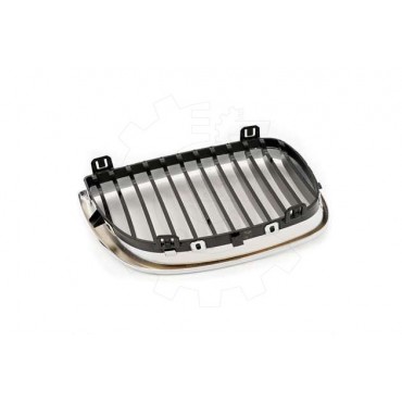 2 Grilles de Radiateur Pour BMW Série 1 E81 E82 E88 51710441920 51710441921