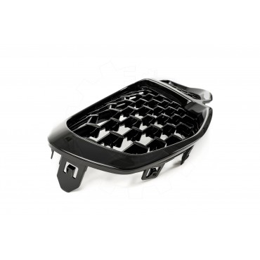 Grille de Radiateur Pour BMW Série 1 F40 51137450957 51137450959 7450957