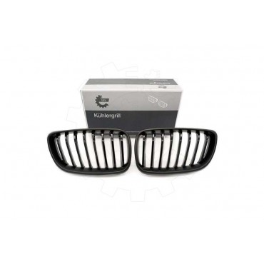 2 Grilles de Radiateur Pour BMW Série 2 F22, F87 F23 F45 51137295521
