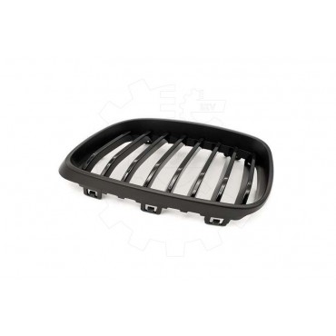 2 Grilles de Radiateur Pour BMW Série 2 F22, F87 F23 F45 51137295521