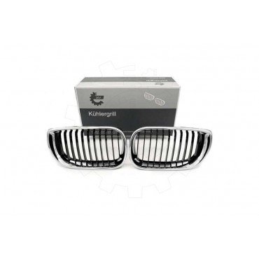 2 Grilles de Radiateur Pour BMW Série 3 E46 51137030545 51137042961
