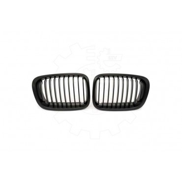 2 Grilles de Radiateur Pour BMW Série 3 E46 51138208490
