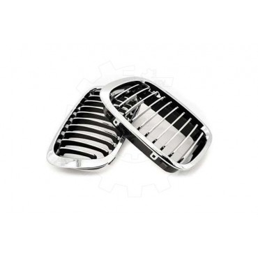2 Grilles de Radiateur Pour BMW Série 3 E46 51138208490