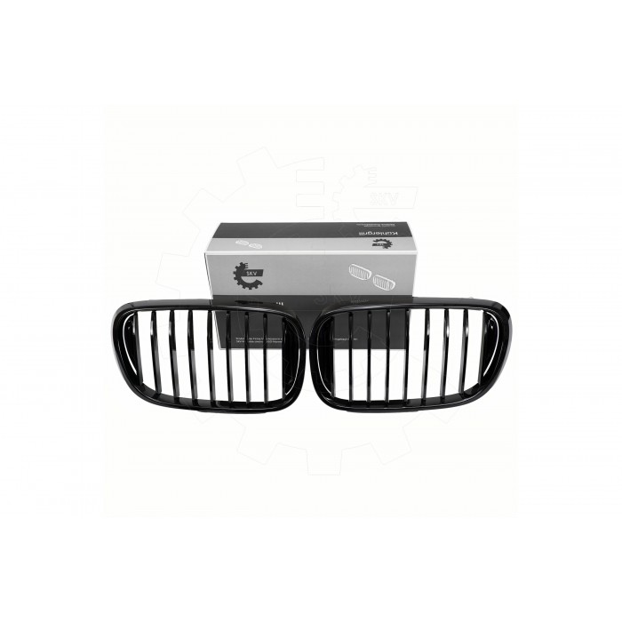 2 Grilles de Radiateur Pour BMW Série 3 E46 51138208487