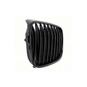 2 Grilles de Radiateur Pour BMW Série 3 E46 51138208487