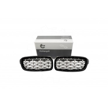 2 Grilles de Radiateur Pour BMW Série 3 F30, F80 F31 51137255411