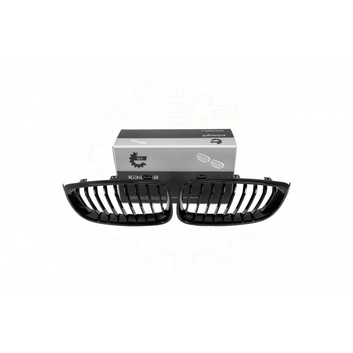 2 Grilles de Radiateur Pour BMW Série 3 F34 51712410146 51712410147