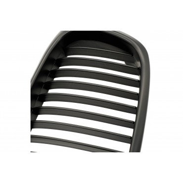 2 Grilles de Radiateur Pour BMW Série 5 E39 51132497261 51138184531
