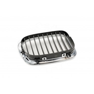 2 Grilles de Radiateur Pour BMW Série 5 E39 51132497261 51138184531