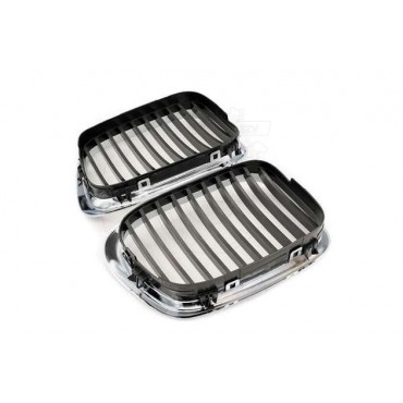 2 Grilles de Radiateur Pour BMW Série 5 E39 51132497261 51138184531