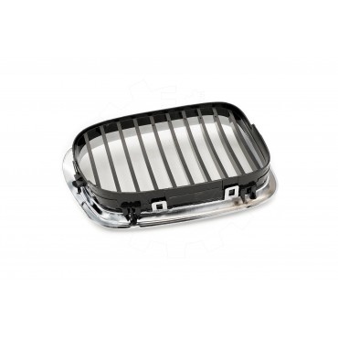 2 Grilles de Radiateur Pour BMW Série 5 E39 51132497261 51138184531