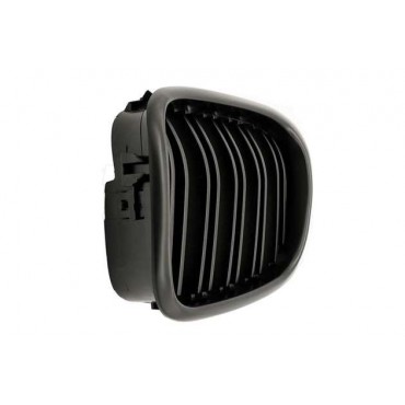 2 Grilles de Radiateur Pour BMW Série 5 E39 51132497261 51138184531