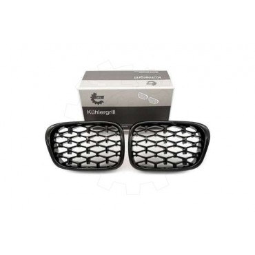 2 Grilles de Radiateur Pour BMW Série 5 E39 51132497261 51138184531