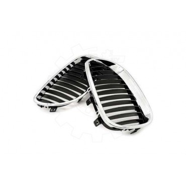 2 Grilles de Radiateur Pour BMW Série 5 E60 E61 51137027061 51137027062