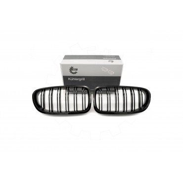 2 Grilles de Radiateur Pour BMW Série 5 F10 F11 51137261356