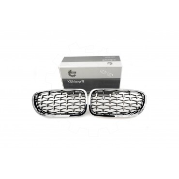 2 Grilles de Radiateur Pour BMW Série 5 F10 F11 51137261356