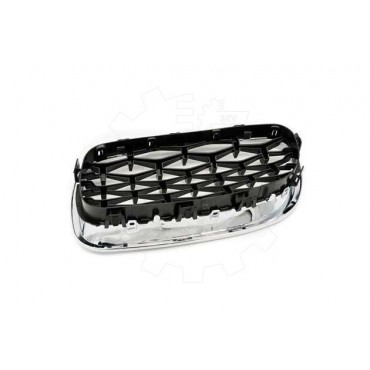 2 Grilles de Radiateur Pour BMW Série 5 F10 F11 51137261356