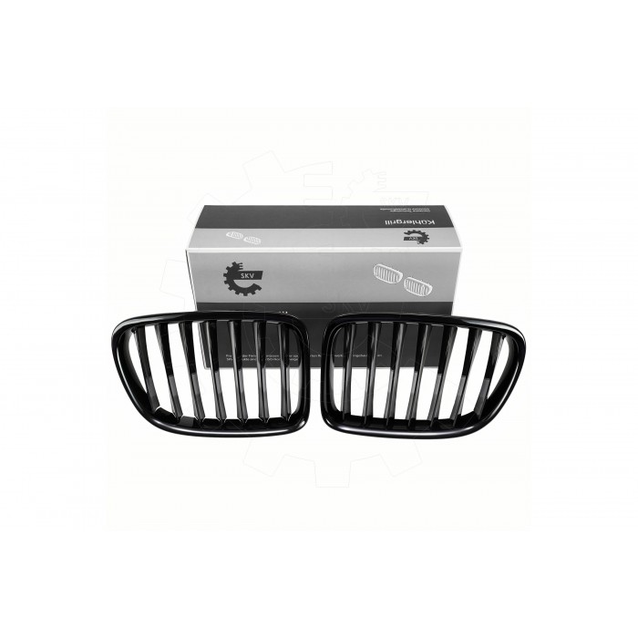 2 Grilles de Radiateur Pour BMW X1 E84 51112993305 51112993306 51112993307