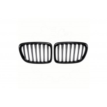 2 Grilles de Radiateur Pour BMW X1 E84 51112993305 51112993306 51112993307