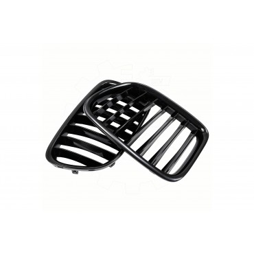 2 Grilles de Radiateur Pour BMW X1 E84 51112993305 51112993306 51112993307