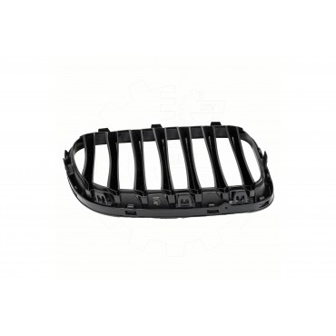 2 Grilles de Radiateur Pour BMW X1 E84 51112993305 51112993306 51112993307