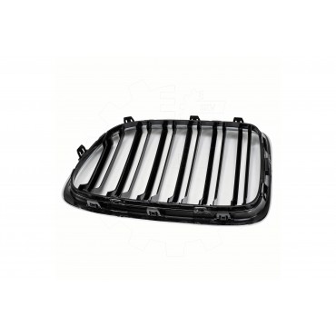 2 Grilles de Radiateur Pour BMW X1 E84 51112993305 51112993306 51112993307