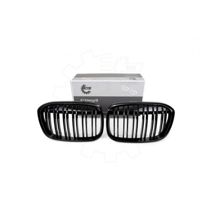 2 Grilles de Radiateur Pour BMW X1 F48 51117383364