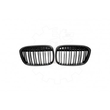 2 Grilles de Radiateur Pour BMW X1 F48 51117383364