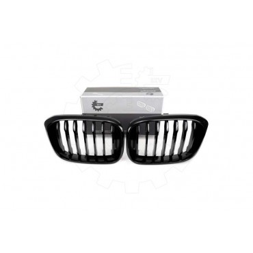 2 Grilles de Radiateur Pour BMW X3 F97, G01, G08 G01 X4 F98, G02 51138091725